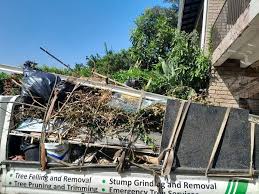 Types of Items We Remove From Your Property in Clawson, MI